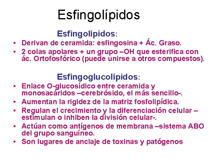 Esfingolípidos: • Derivan de ceramida: esfingosina + Ác. Graso. • 2 colas apolares +