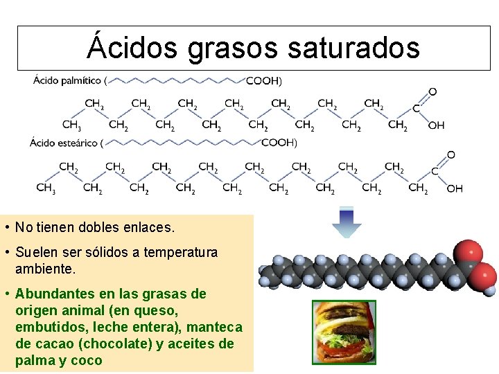 Ácidos grasos saturados • No tienen dobles enlaces. • Suelen ser sólidos a temperatura