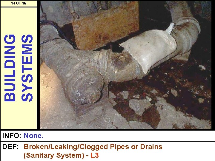 BUILDING SYSTEMS 14 OF 16 INFO: None. DEF: Broken/Leaking/Clogged Pipes or Drains (Sanitary System)