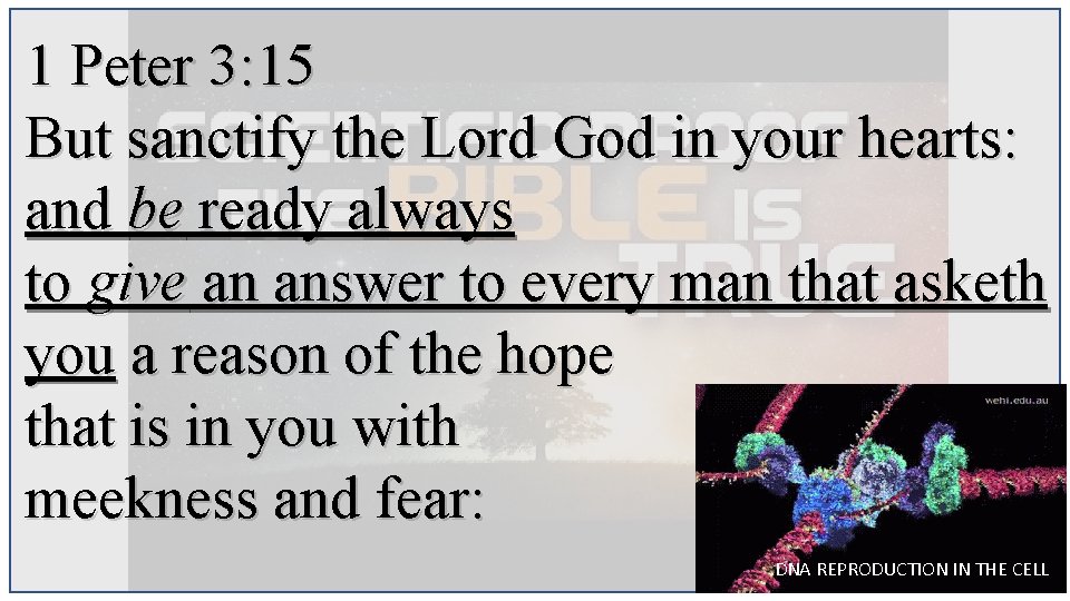 1 Peter 3: 15 But sanctify the Lord God in your hearts: and be