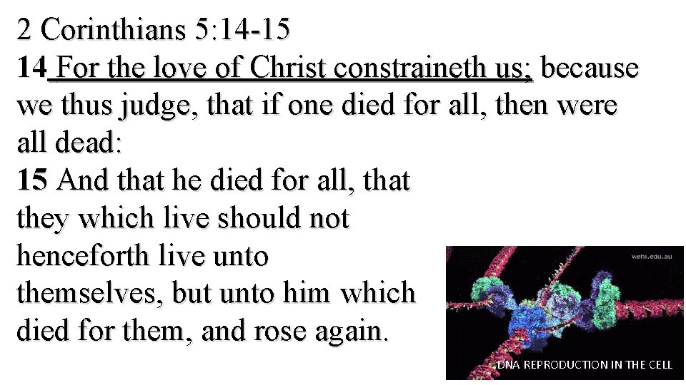 2 Corinthians 5: 14 -15 14 For the love of Christ constraineth us; because