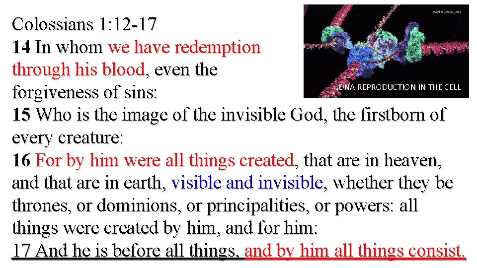 Colossians 1: 12 -17 14 In whom we have redemption through his blood, even