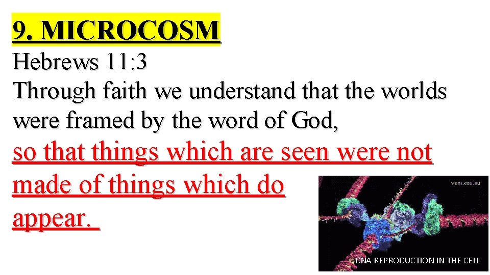 9. MICROCOSM Hebrews 11: 3 Through faith we understand that the worlds were framed