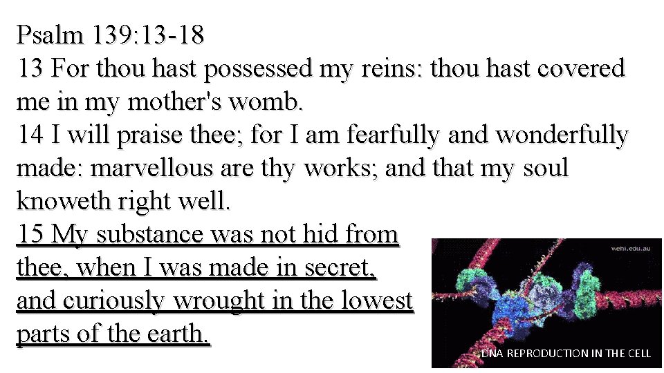 Psalm 139: 13 -18 13 For thou hast possessed my reins: thou hast covered