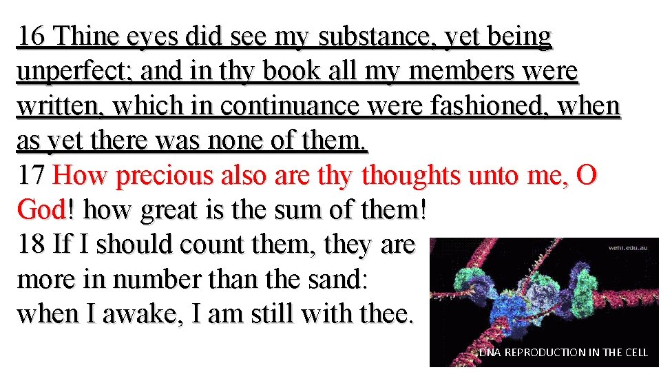 16 Thine eyes did see my substance, yet being unperfect; and in thy book