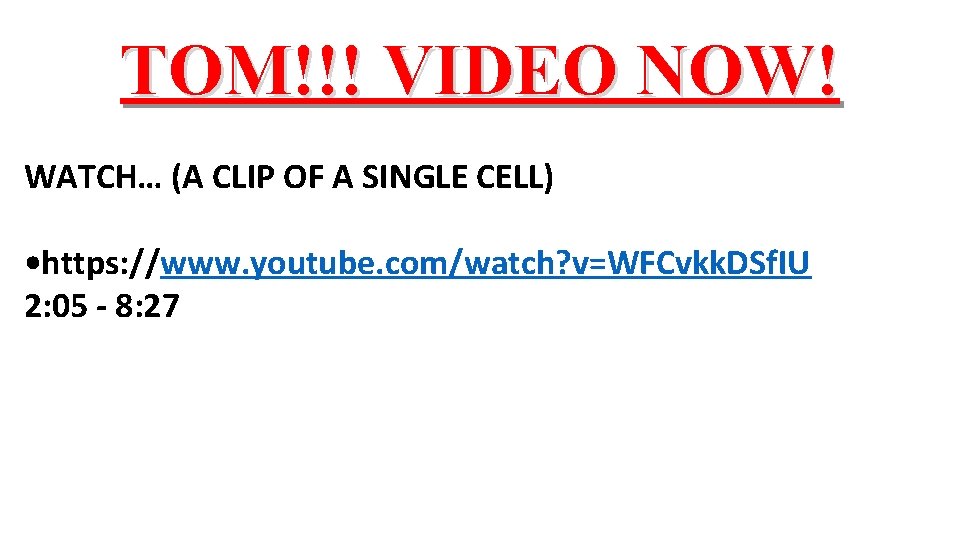 TOM!!! VIDEO NOW! WATCH… (A CLIP OF A SINGLE CELL) • https: //www. youtube.