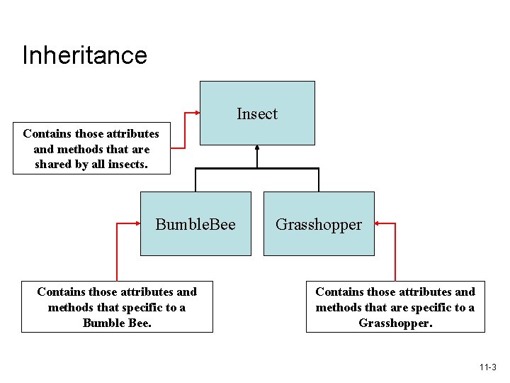 Inheritance Insect Contains those attributes and methods that are shared by all insects. Bumble.