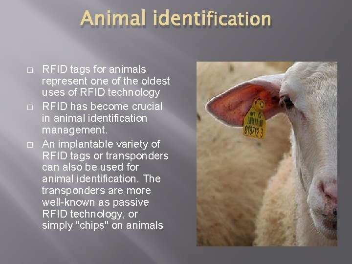 Animal identification � � � RFID tags for animals represent one of the oldest