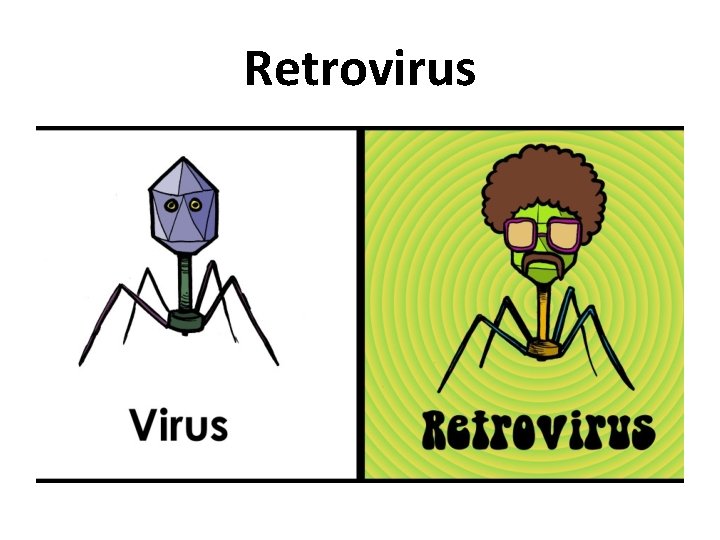 Retrovirus 