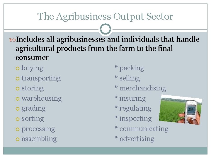 The Agribusiness Output Sector Includes all agribusinesses and individuals that handle agricultural products from