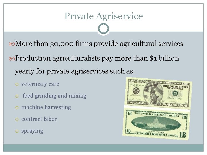 Private Agriservice More than 30, 000 firms provide agricultural services Production agriculturalists pay more