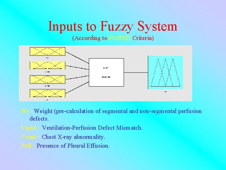 Inputs to Fuzzy System (According to PIOPED Criteria) Wt - Weight (pre-calculation of segmental