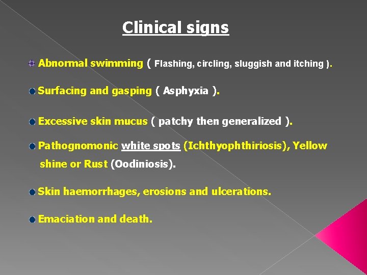 Clinical signs Abnormal swimming ( Flashing, circling, sluggish and itching ). Surfacing and gasping