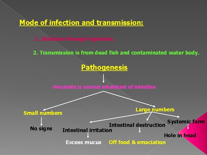 Mode of infection and transmission: 1. Infection through ingestion. 2. Transmission is from dead