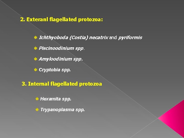 2. Exteranl flagellated protozoa: Ichthyoboda (Costia) necatrix and pyriformis Piscinoodinium spp. Amyloodinium spp. Cryptobia