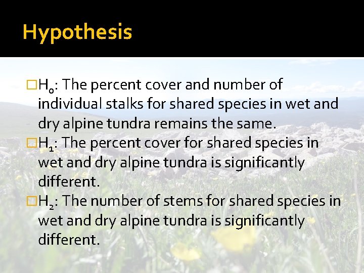 Hypothesis �H 0: The percent cover and number of individual stalks for shared species