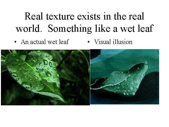 Real texture exists in the real world. Something like a wet leaf • An