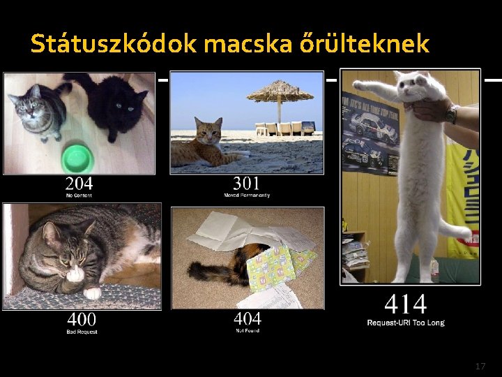 Státuszkódok macska őrülteknek 17 