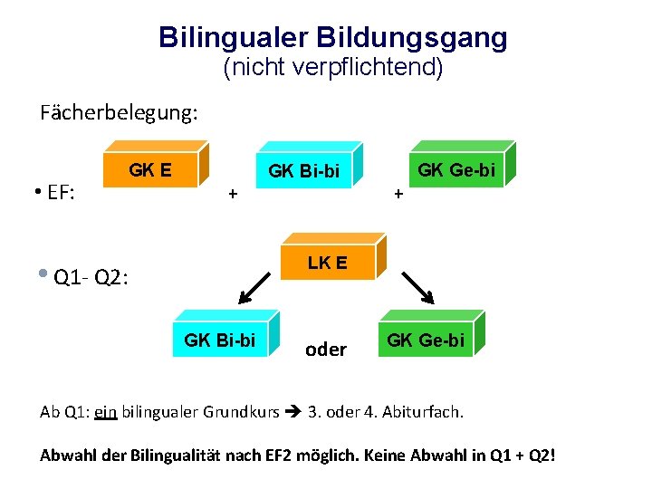 Bilingualer Bildungsgang (nicht verpflichtend) Fächerbelegung: • EF: GK E GK Ge-bi GK Bi-bi +