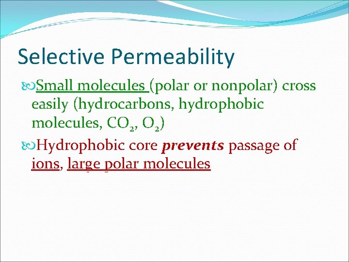 Selective Permeability Small molecules (polar or nonpolar) cross easily (hydrocarbons, hydrophobic molecules, CO 2,