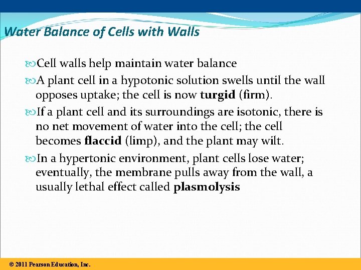 Water Balance of Cells with Walls Cell walls help maintain water balance A plant