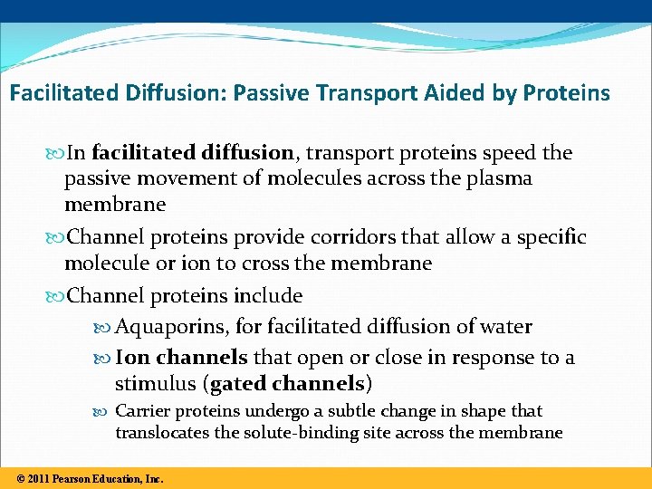 Facilitated Diffusion: Passive Transport Aided by Proteins In facilitated diffusion, transport proteins speed the