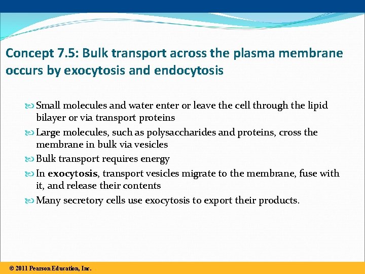 Concept 7. 5: Bulk transport across the plasma membrane occurs by exocytosis and endocytosis