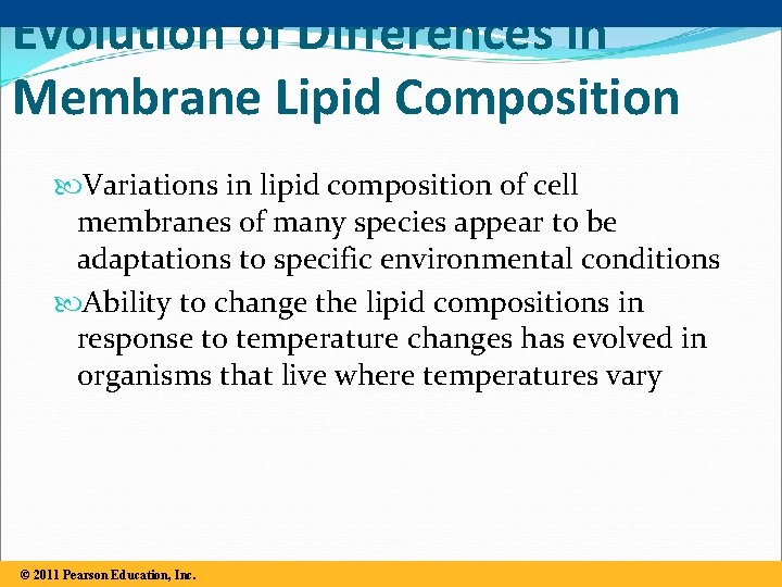 Evolution of Differences in Membrane Lipid Composition Variations in lipid composition of cell membranes