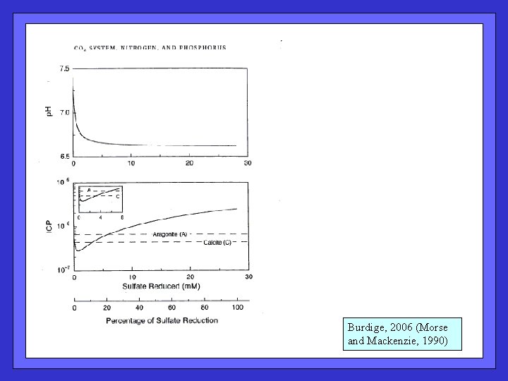 Burdige, 2006 (Morse and Mackenzie, 1990) 