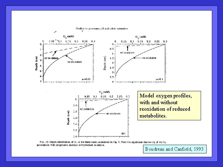 Model oxygen profiles, with and without reoxidation of reduced metabolites. Boudreau and Canfield, 1993