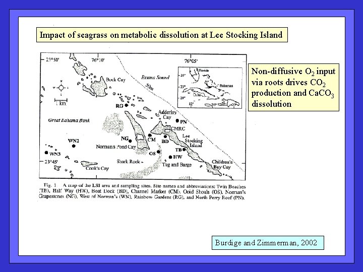 Impact of seagrass on metabolic dissolution at Lee Stocking Island Non-diffusive O 2 input