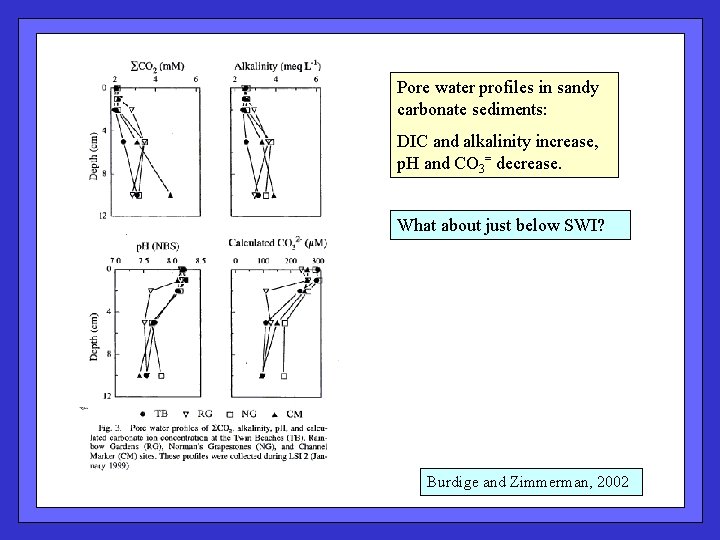 Pore water profiles in sandy carbonate sediments: DIC and alkalinity increase, p. H and