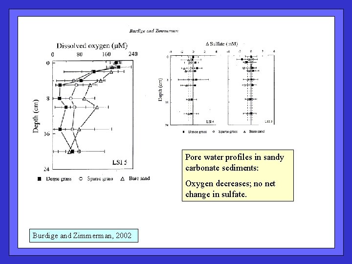 Pore water profiles in sandy carbonate sediments: Oxygen decreases; no net change in sulfate.
