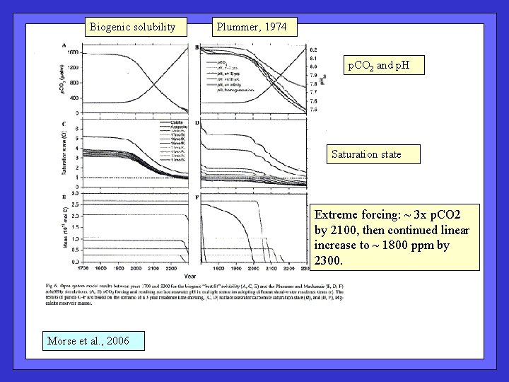 Biogenic solubility Plummer, 1974 p. CO 2 and p. H Saturation state Extreme forcing: