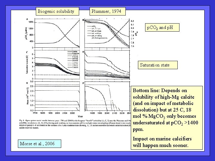 Biogenic solubility Plummer, 1974 p. CO 2 and p. H Saturation state Bottom line: