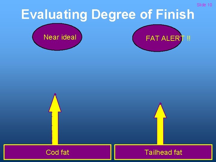 Evaluating Degree of Finish Near ideal Cod fat FAT ALERT !! Tailhead fat Slide