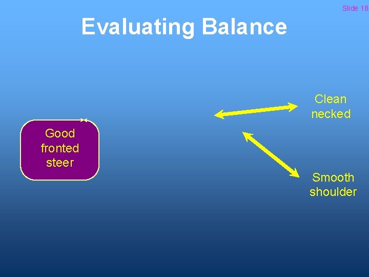 Slide 18 Evaluating Balance Clean necked Good fronted steer Smooth shoulder 