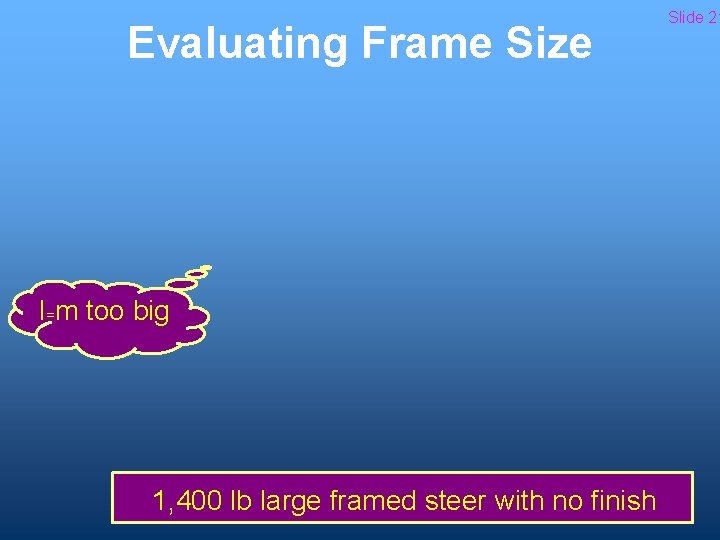 Evaluating Frame Size I=m too big 1, 400 lb large framed steer with no
