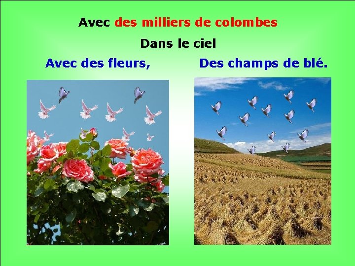 Avec des milliers de colombes Dans le ciel Avec des fleurs, Des champs de