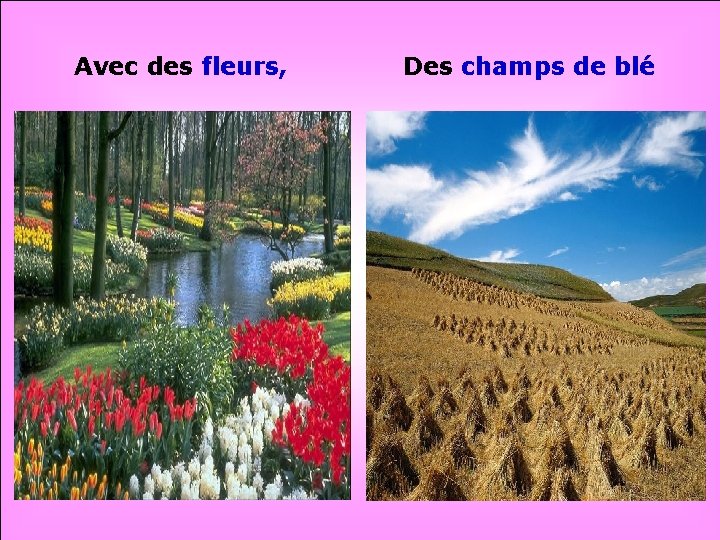 Avec des fleurs, Des champs de blé . . 