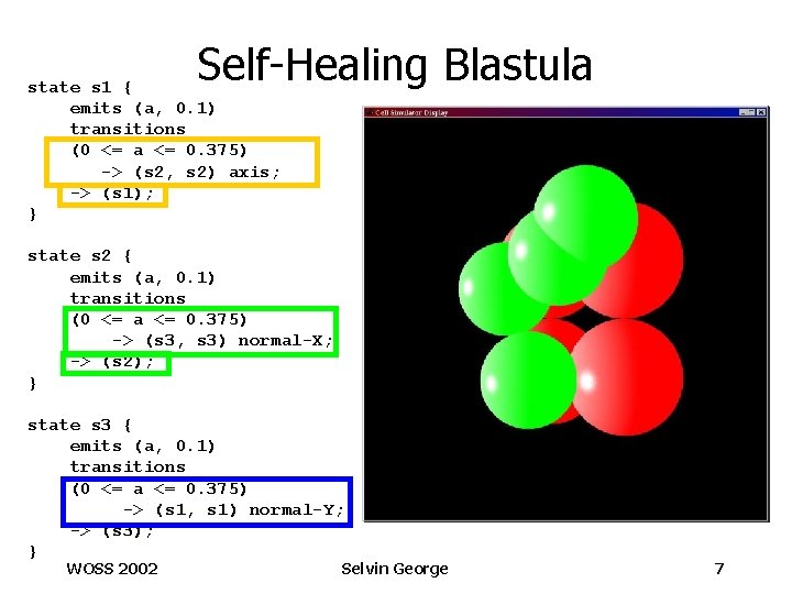 Self-Healing Blastula state s 1 { emits (a, 0. 1) transitions (0 <= a