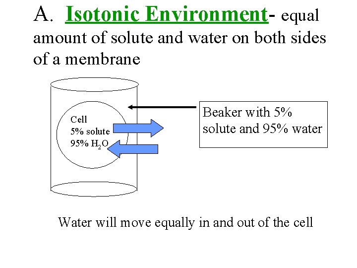 A. Isotonic Environment- equal amount of solute and water on both sides of a