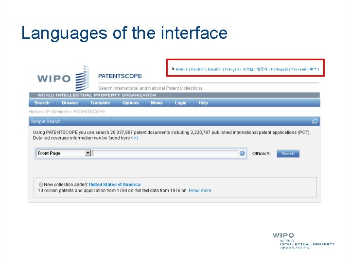 Languages of the interface 