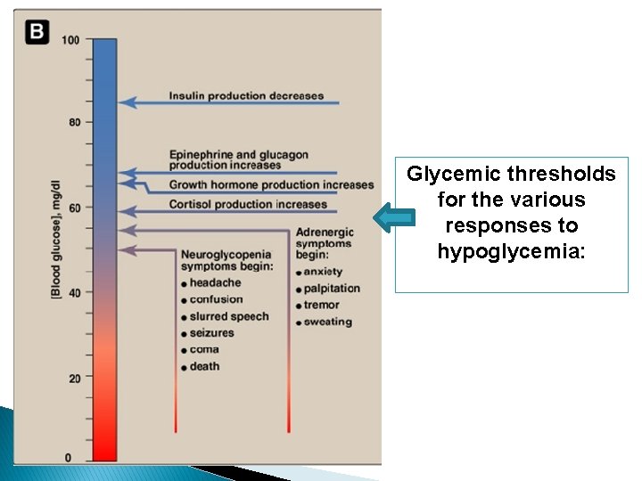 Glycemic thresholds for the various responses to hypoglycemia: 