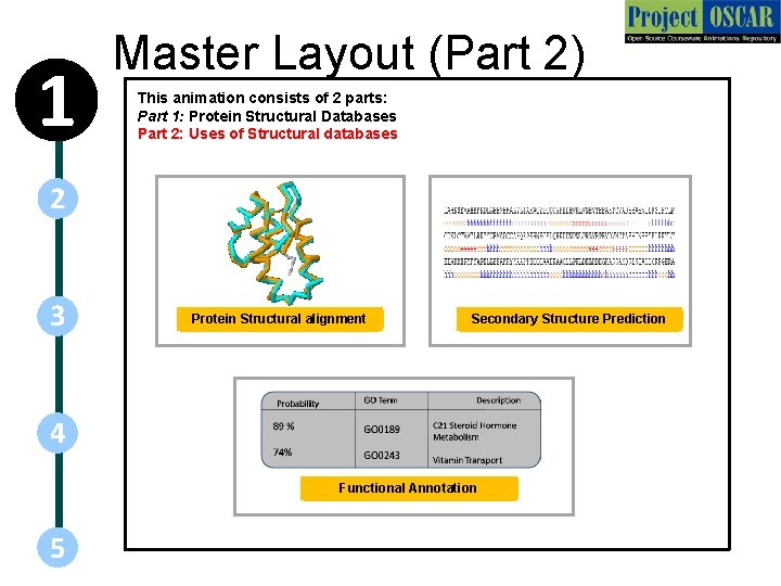 1 Master Layout (Part 2) This animation consists of 2 parts: Part 1: Protein