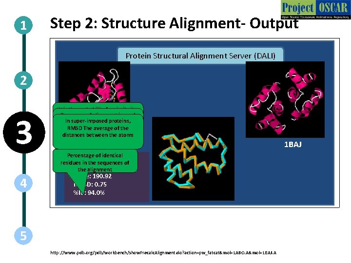 1 Step 2: Structure Alignment- Output Protein Structural Alignment Server (DALI) 2 3 4