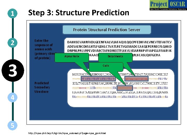 1 Step 3: Structure Prediction Protein Structural Prediction Server 2 3 4 Enter the