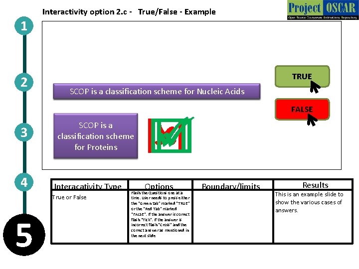 1 2 3 4 Interactivity option 2. c - True/False - Example TRUE SCOP
