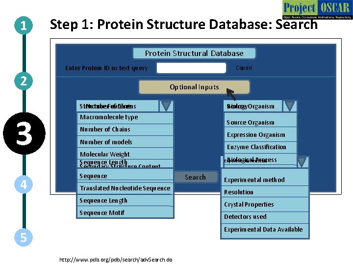 1 Step 1: Protein Structure Database: Search Protein Structural Database Enter Protein ID or