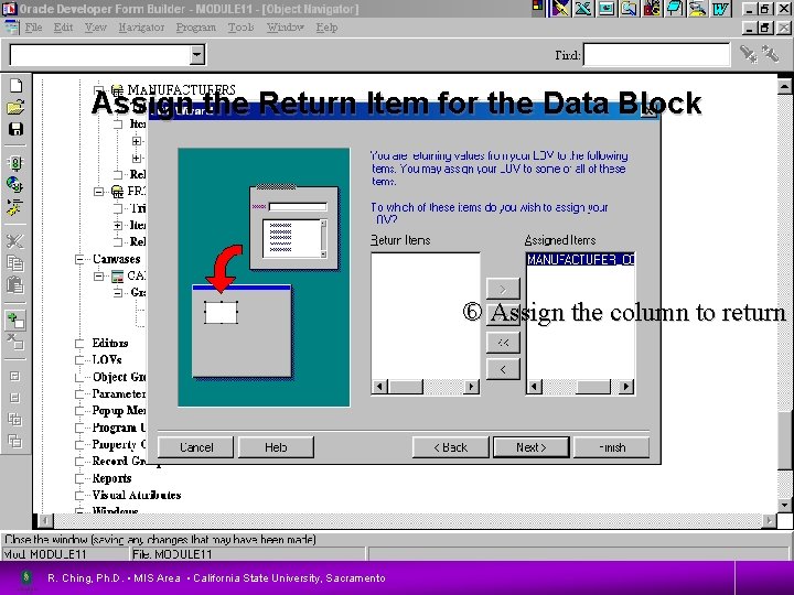 Assign the Return Item for the Data Block 19 Assign the column to return